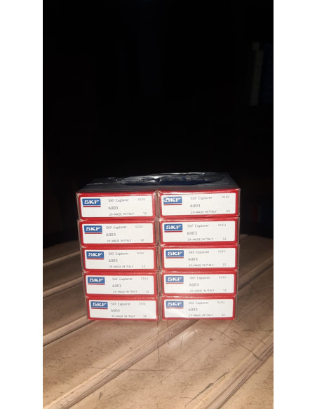 6003.SKF