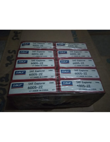 6005 ZZ.SKF