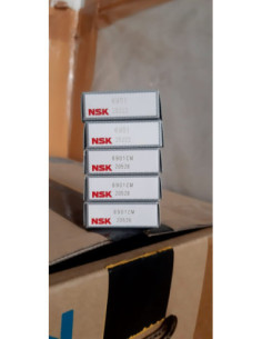 6901.NSK