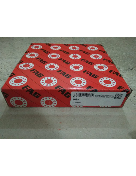6019.FAG