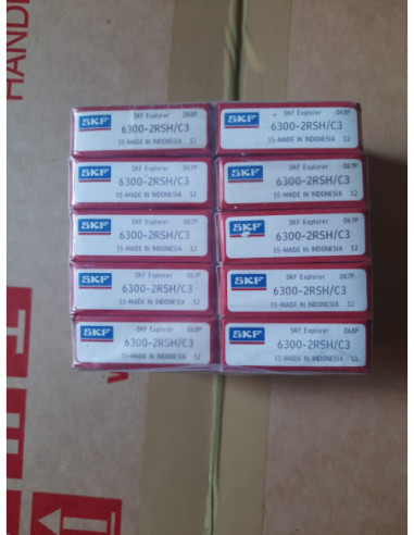6300.SKF