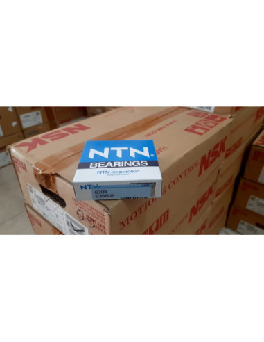 6308.NTN