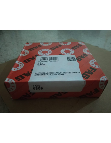 6309.FAG