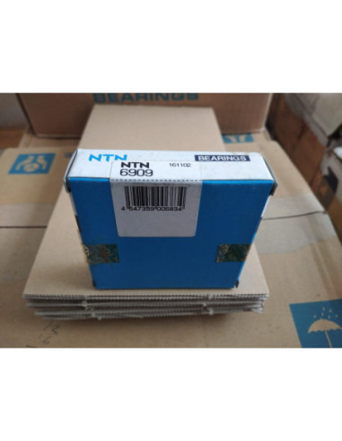 6909.NTN