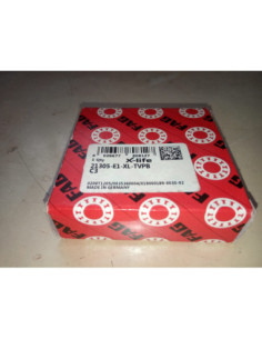 21305 E1 XL TVPB C3.FAG