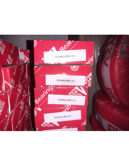 22309 CAW33 C3.DYZV
